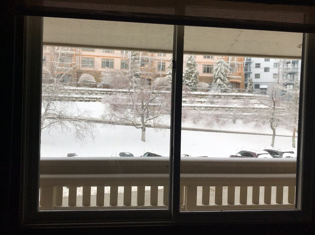 Black Bear Lodge主图