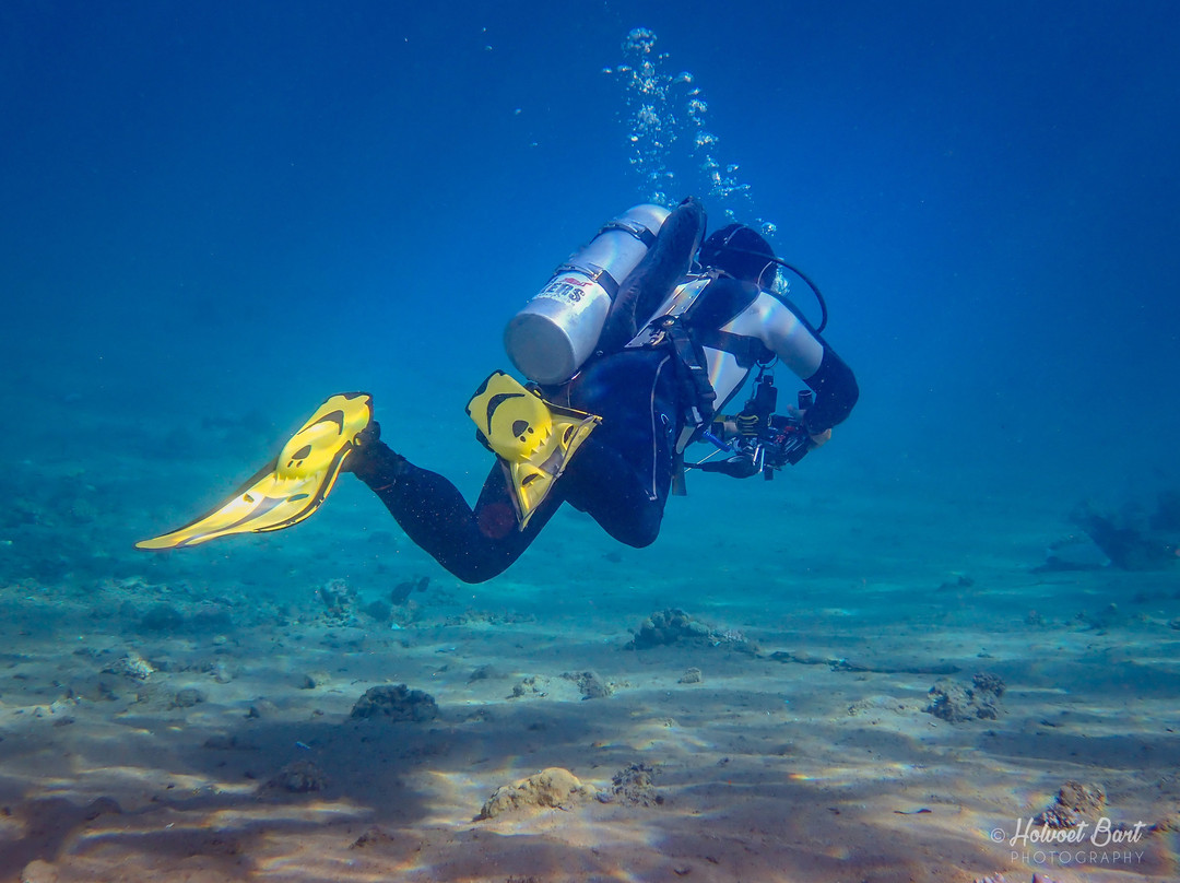 Lighthouse Divecenter-达哈卜必去景点