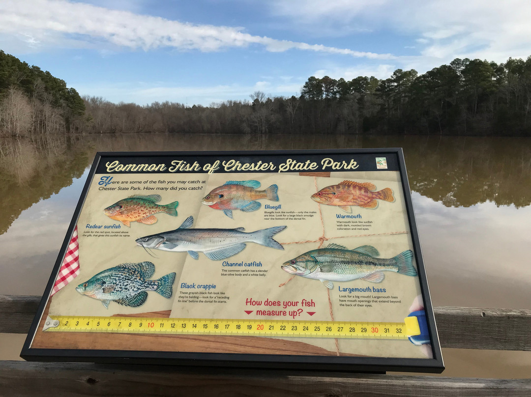 Chester State Park-Chester必去景点