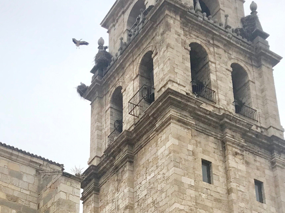 Catedral de Alcala de Henares-阿尔卡拉-德-哈纳雷斯必去景点