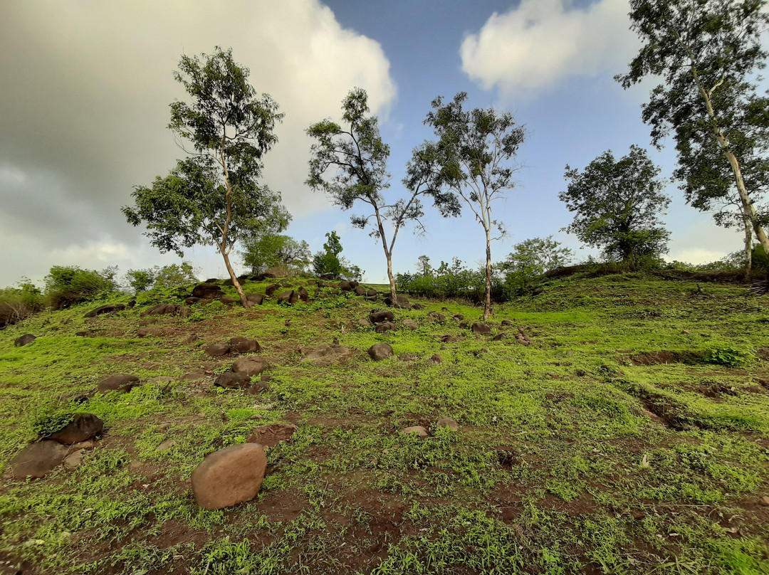 Bilpudi Mavli Mata Waterfall-Barumal必去景点