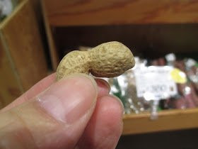 Aisai Batake-君津市必去景点