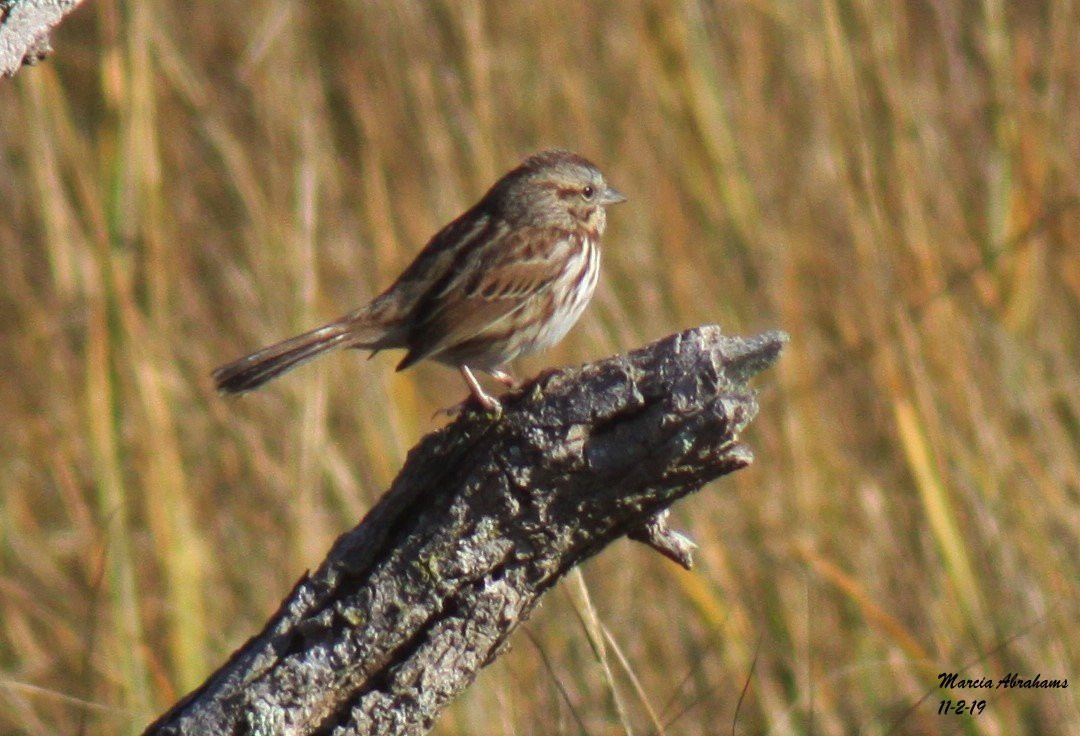 Marine Nature Study Area-Oceanside必去景点