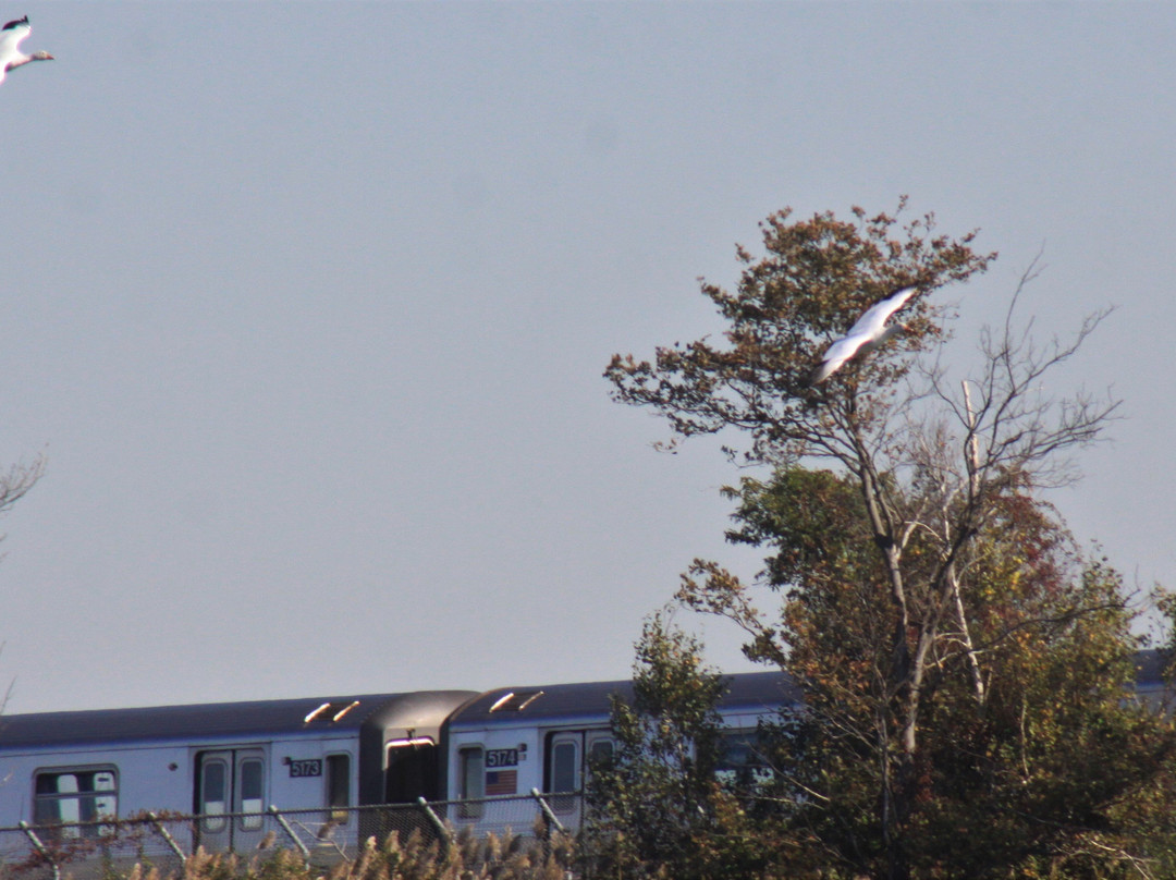 Jamaica Bay Wildlife Refuge Vstr. Cntr. - Gateway National Recreation Area-Far Rockaway必去景点