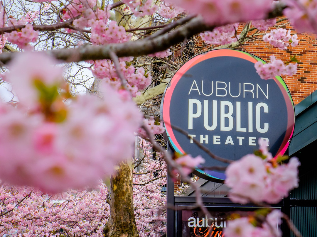 Auburn Public Theater景点图片