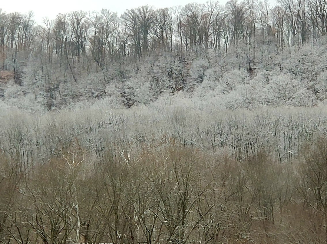 Caesars Southern Indiana Casino-Elizabeth必去景点