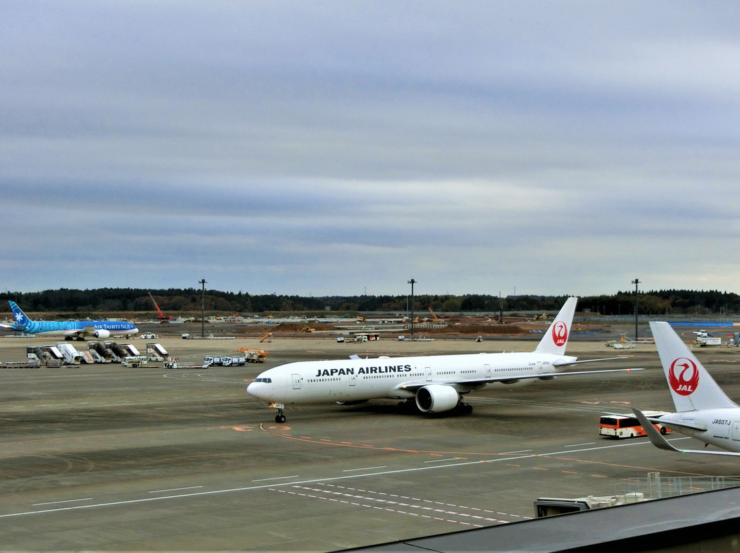 Observation Deck at Narita Airport Terminal 2-成田市必去景点