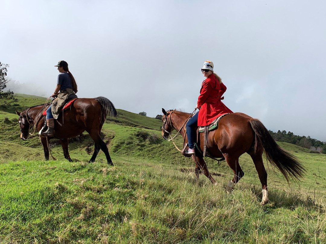 Thompson Ranch Riding Stables-库拉必去景点