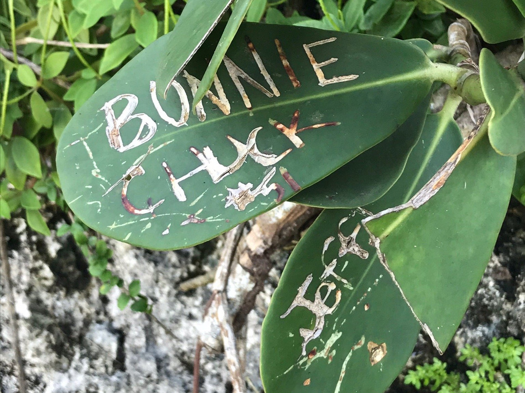 Monumento Historico Cueva Maria de La Cruz-Loiza必去景点