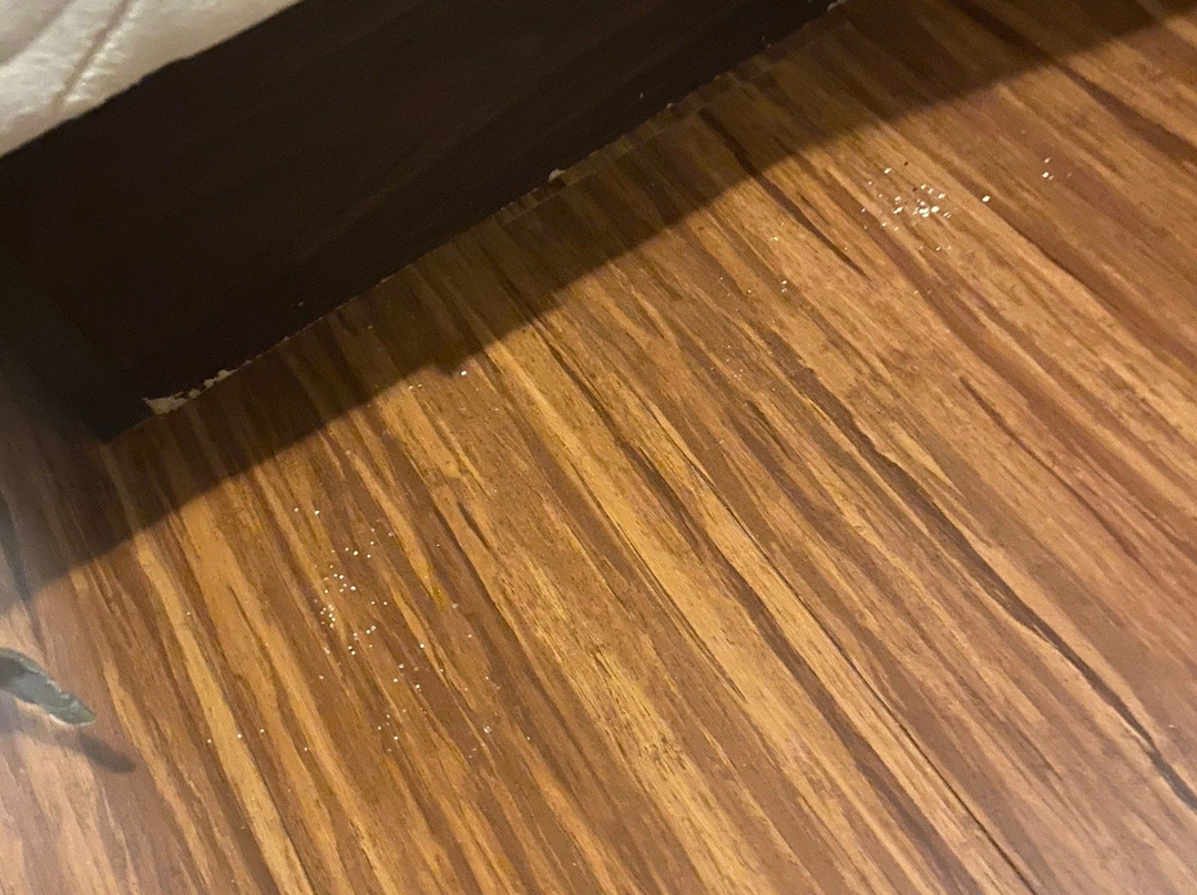 Orange County National Golf Center and Lodge主图