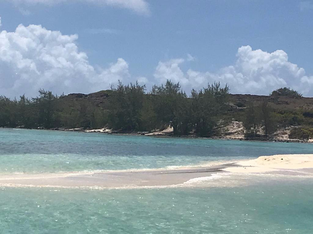 Dreamcatcher Catamaran Tours-开普马欧呵必去景点