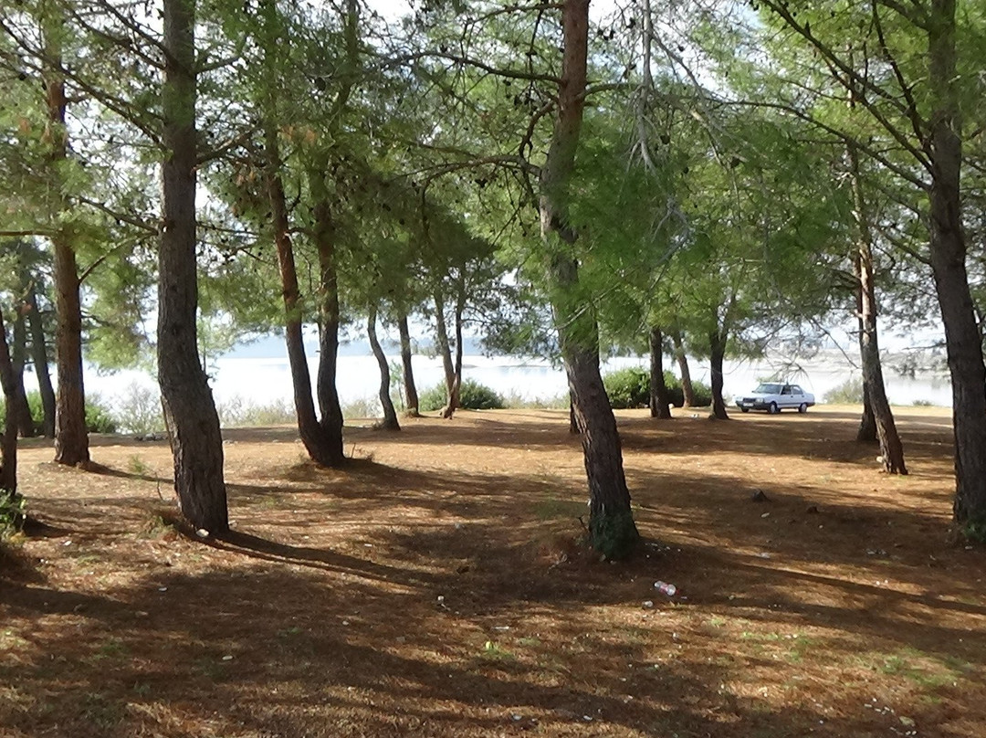 Mumcular Dam-蒙朱拉尔必去景点