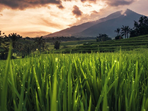 Befreetour Indonesia-登巴萨必去景点