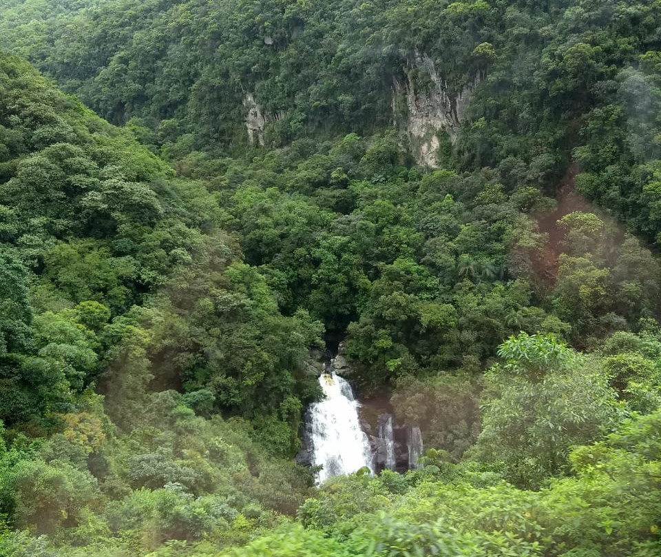 Estacao Ferroviária景点图片