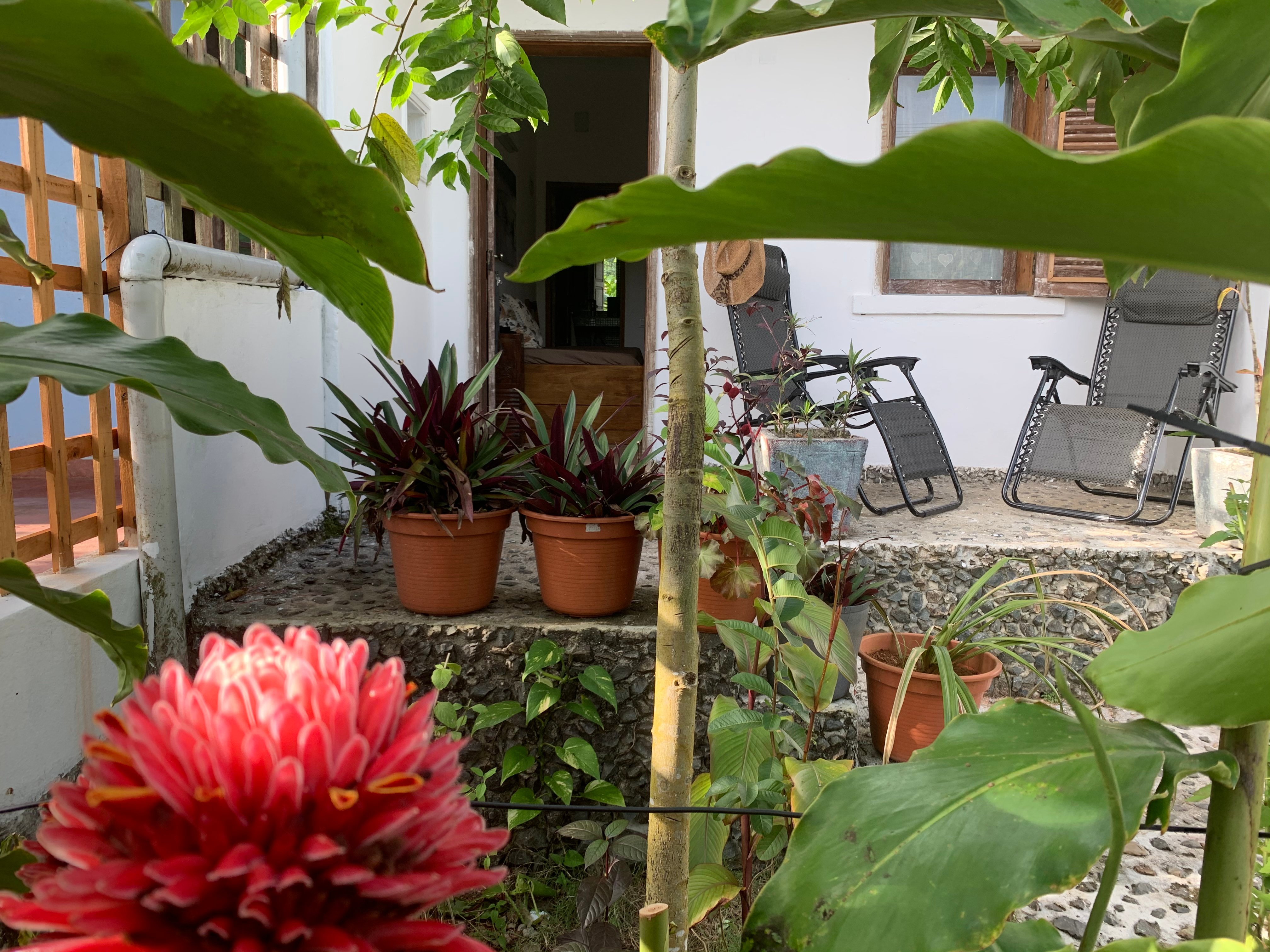 B&B Domus Rio Papagaio-Principe-官方