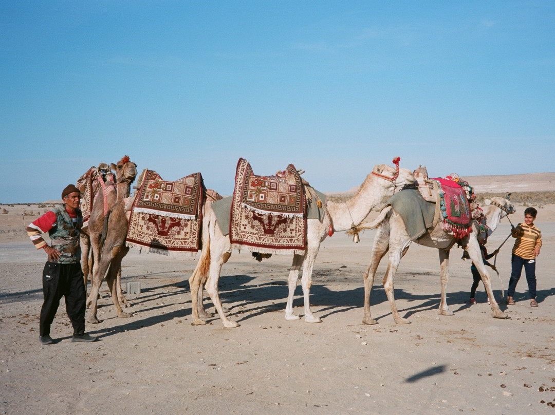 Maranjab Desert Eco Camp主图