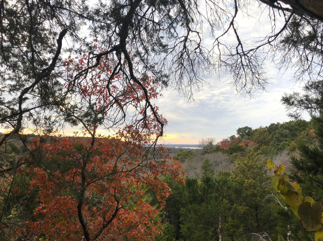 Cedar Ridge Preserve managed by Audubon Dallas.-达拉斯必去景点