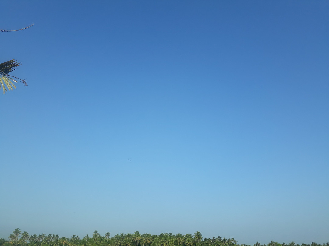 Manalur旅游攻略图片