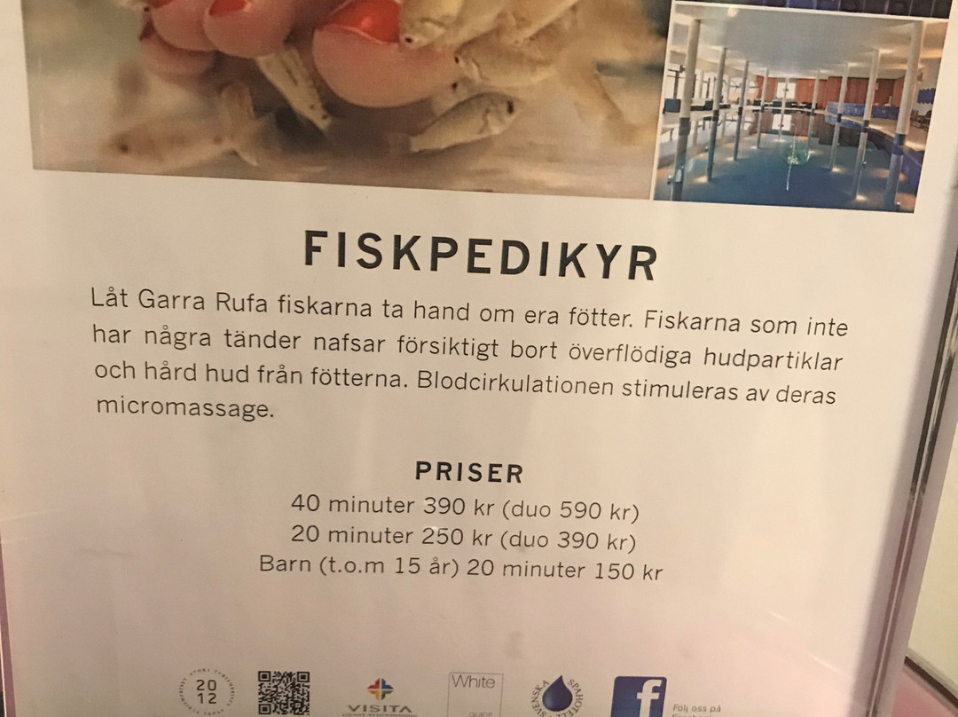 Kosta Boda Art Hotel主图