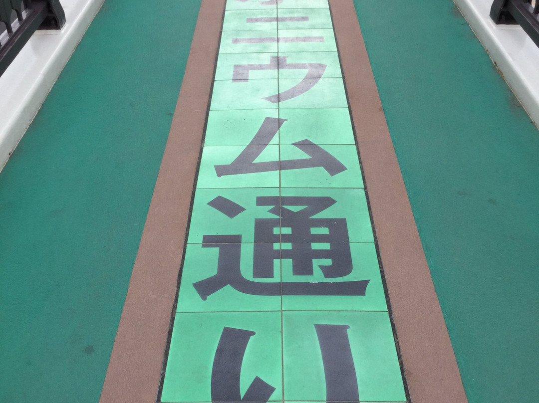 Nihonium Avenue-和光市必去景点