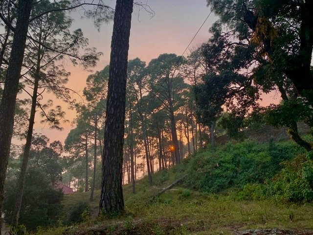 Fairydale Resort主图