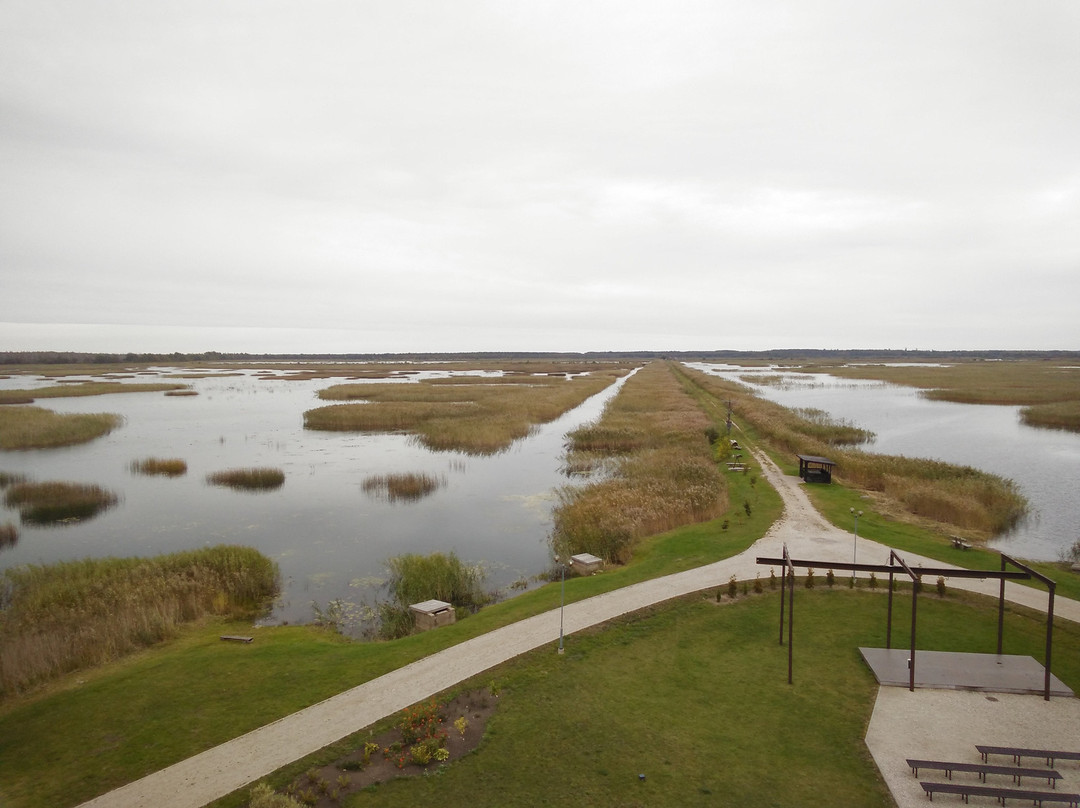 Idena旅游攻略图片