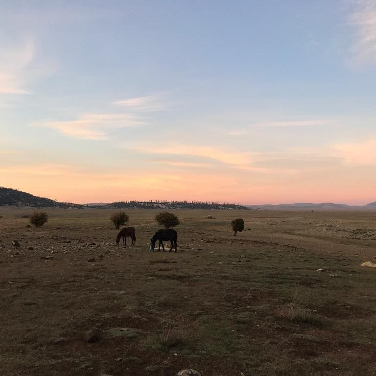 Gite Ferme D'hotes Les Jardins D'azrou主图