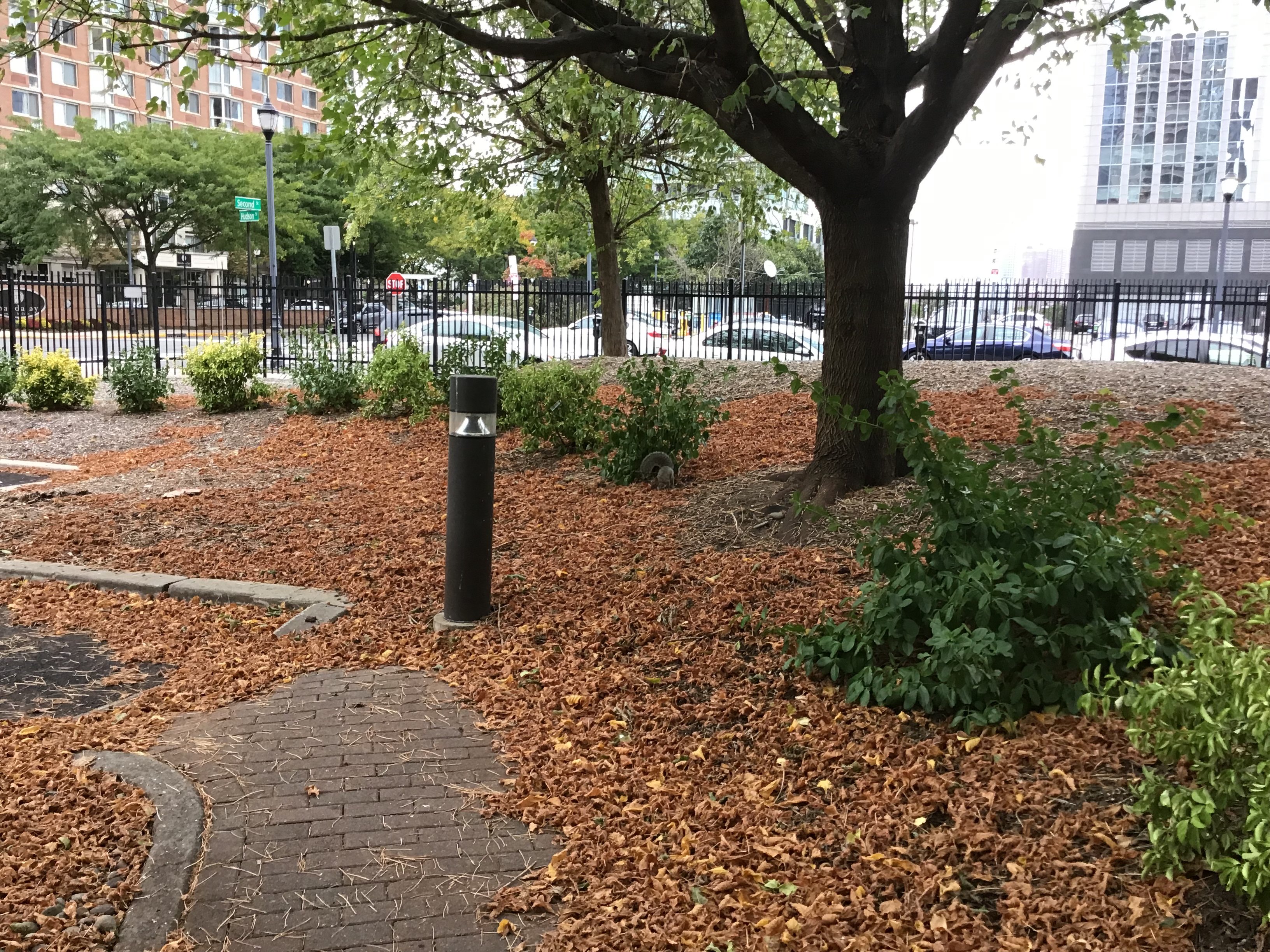 泽西城烛木套房酒店-酒店景观