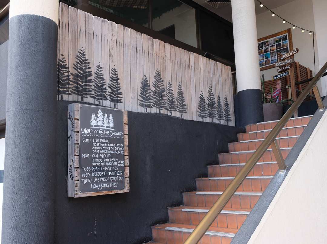 4 Pines Brewery Tours-曼利议会必去景点