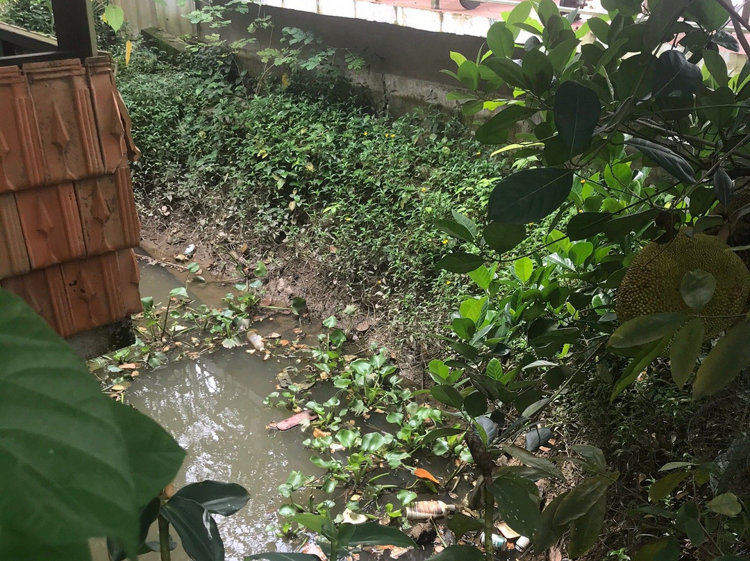 Mekong Chill Homestay主图