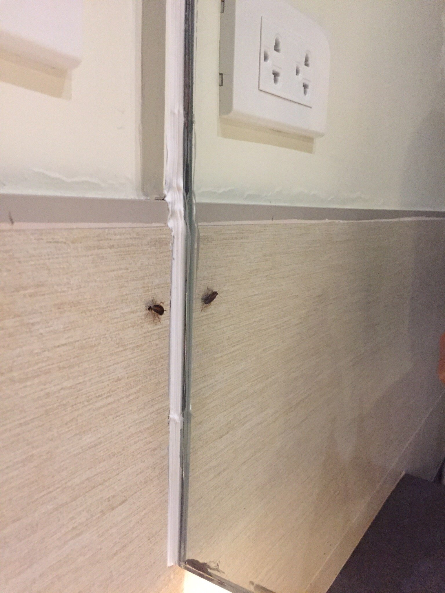 Ever O Business Hotel-官方