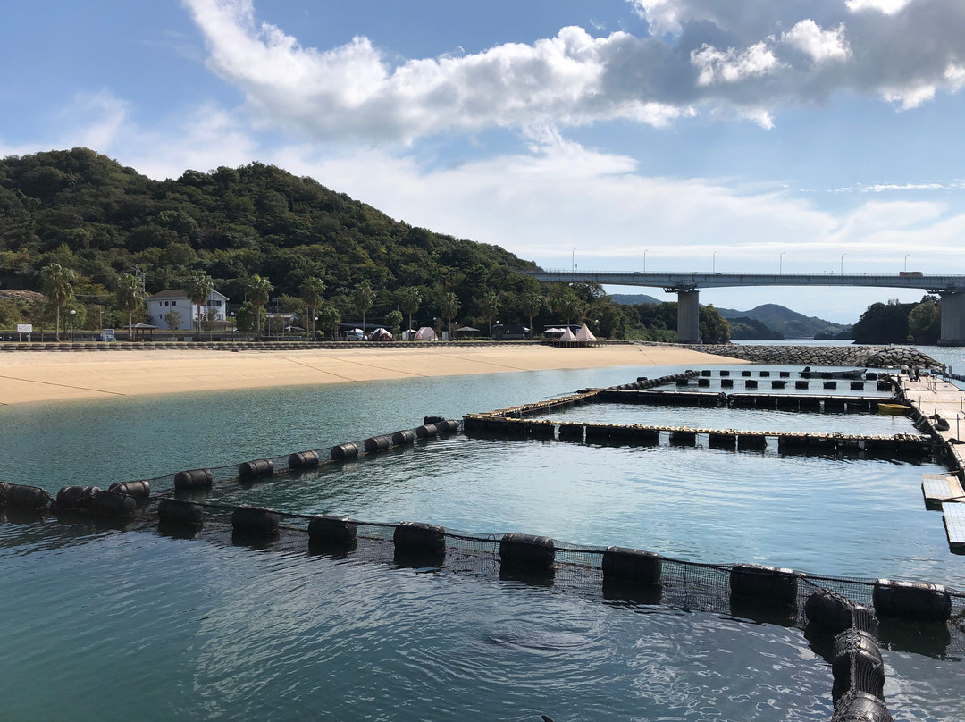 Shimanami Dolphin Farm-今治市必去景点