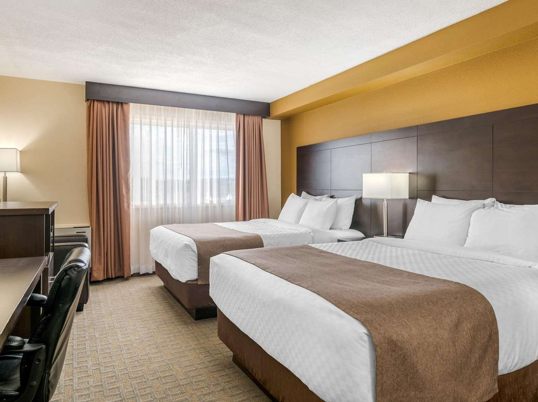 Quality Inn & Suites Bathurst主图