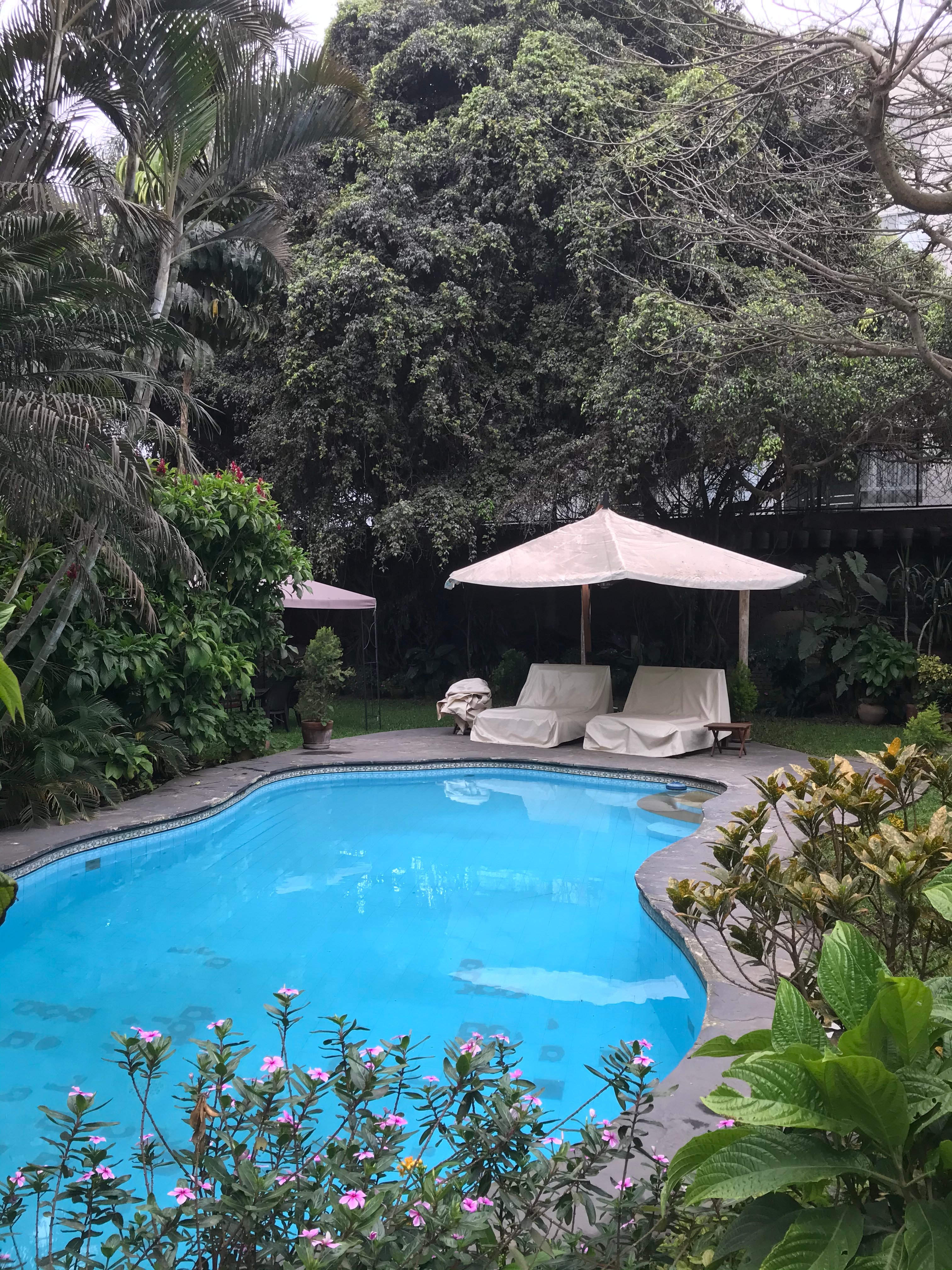 Posada Monterrico-泳池
