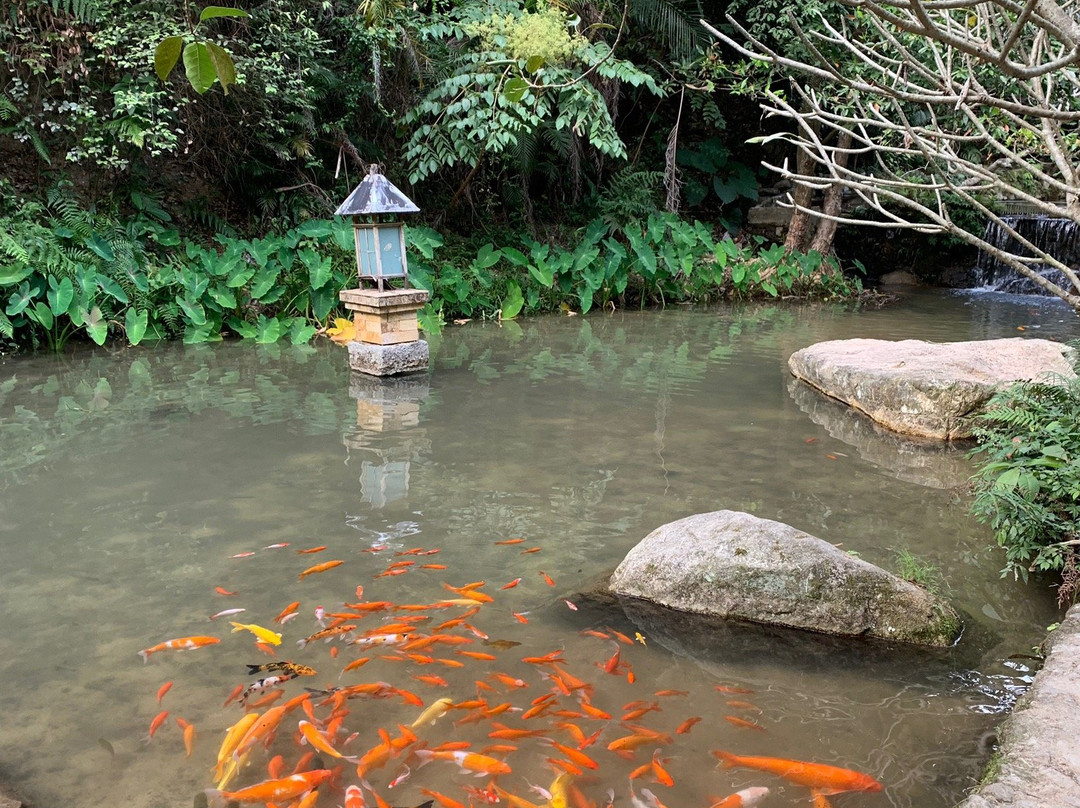云浮藏佛坑景点图片