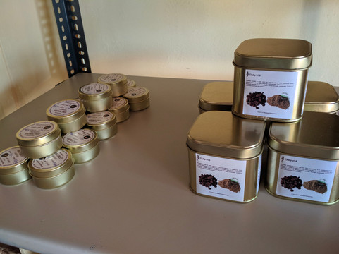 Ekagrata-亚尔考德必去景点