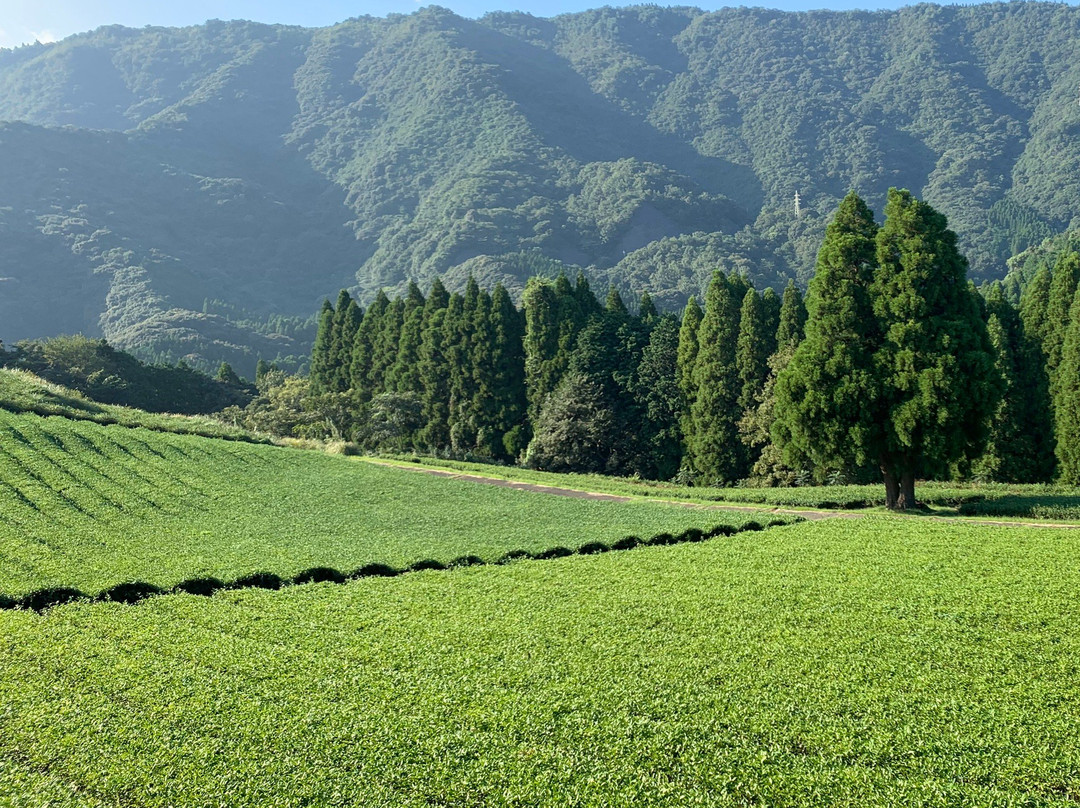 Kitaura Rinkai Park Kitaurara Umi Ichiba-延冈市必去景点