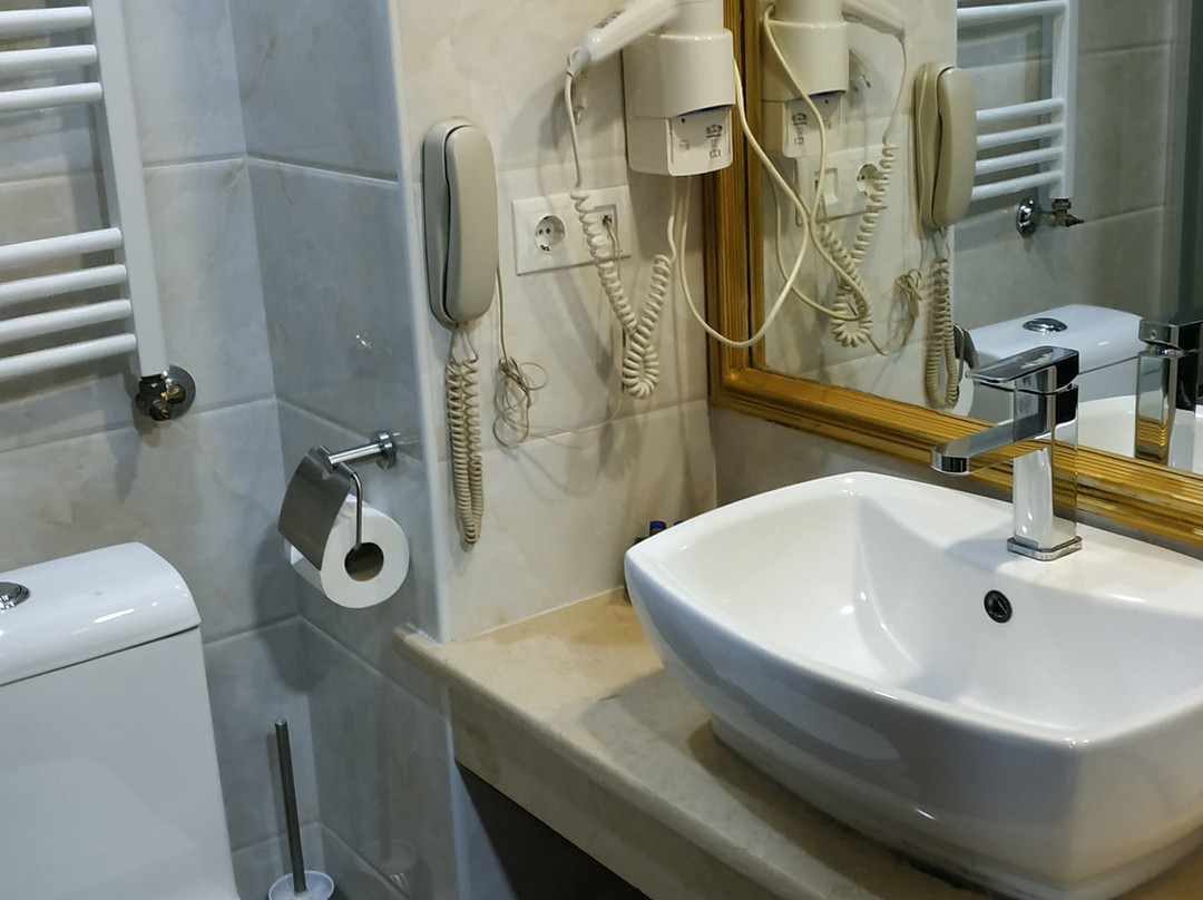 Borjomi Palace Hotel主图