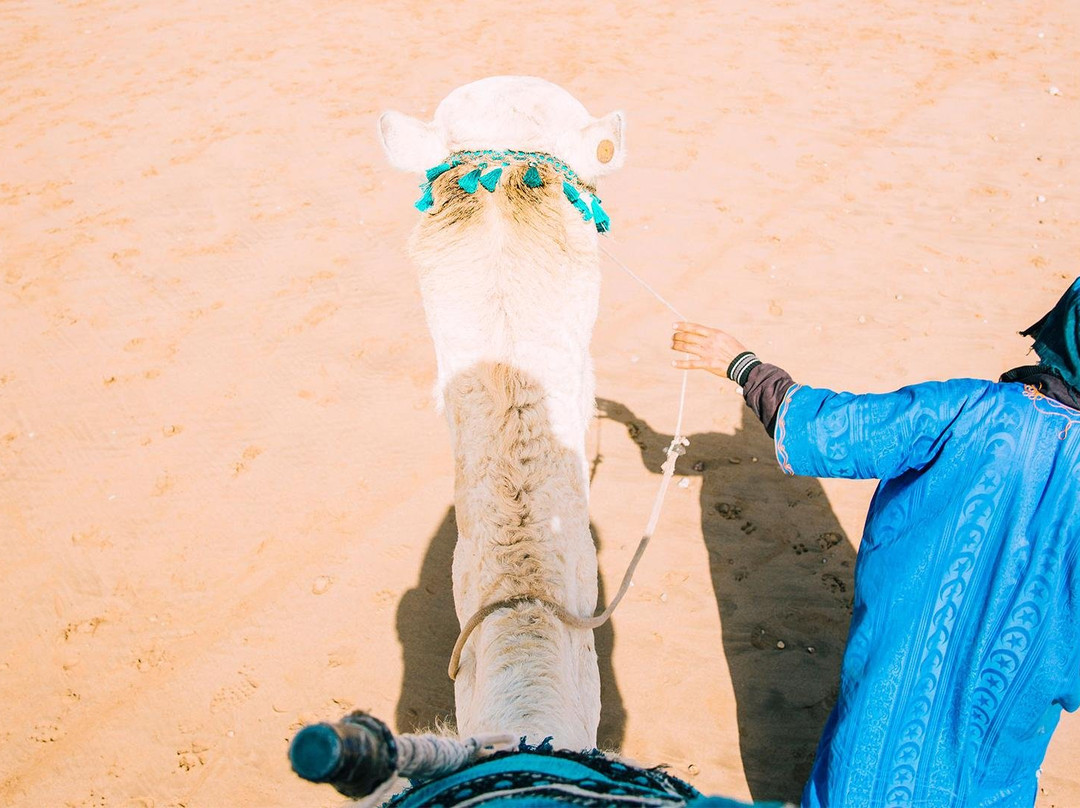 Morocco Shining Tours-非斯必去景点