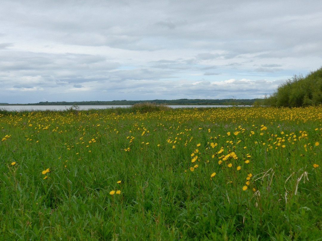 木野牛国家公园-Northwest Territories必去景点