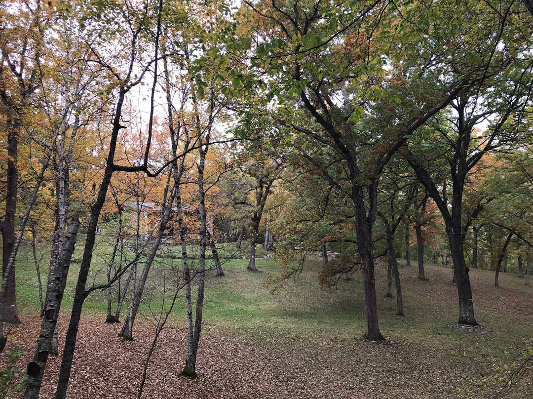 Caponi Art Park景点图片