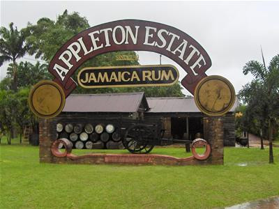 Antsman Tours Jamaica景点图片