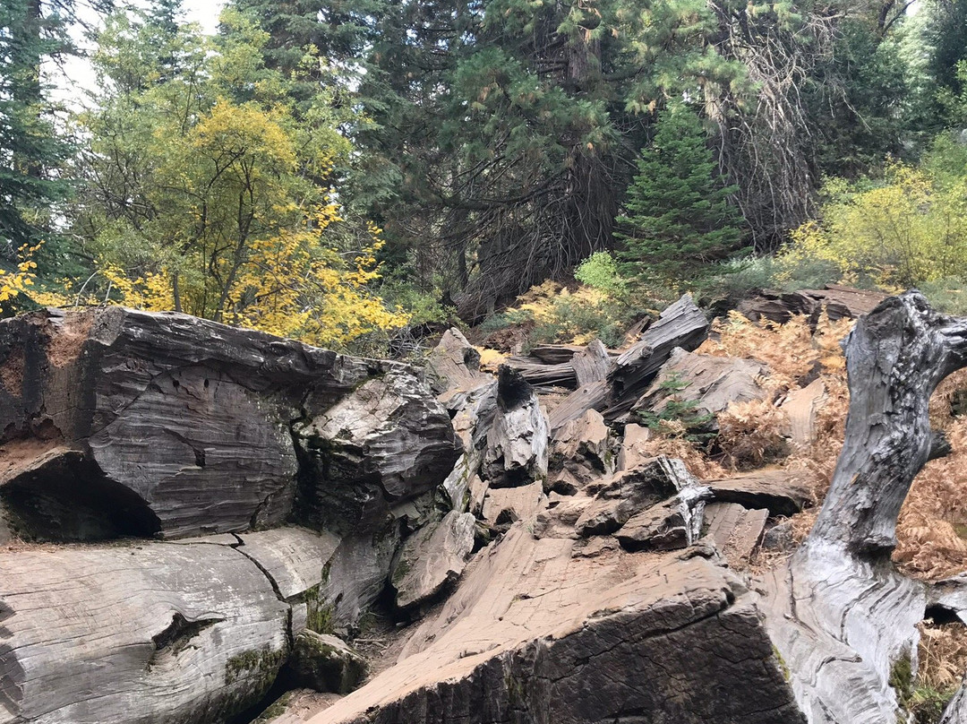 Big Stump Basin-红杉&国王峡谷国家公园必去景点