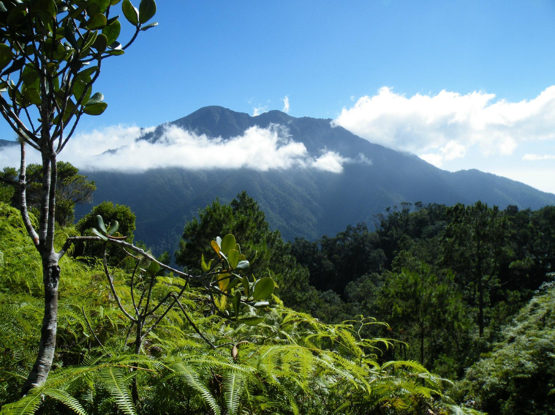 Sierra Maestra景点图片