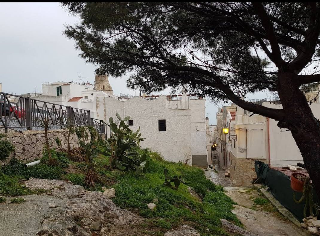 Castello Svevo-维耶斯泰必去景点