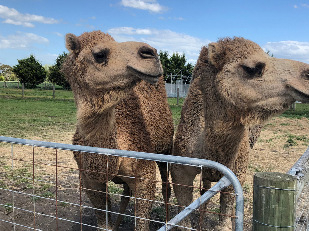 Warrook Farm-Monomeith必去景点