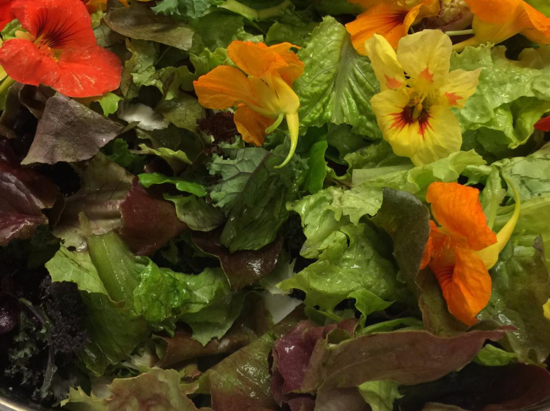 Wolfville旅游景点-Wolfville Farmers' Market