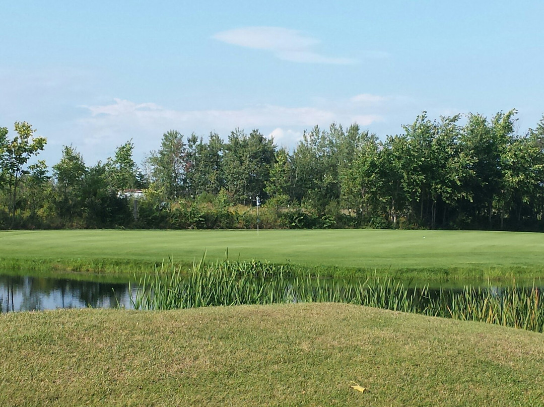 Casselview Golf & Country Club景点图片