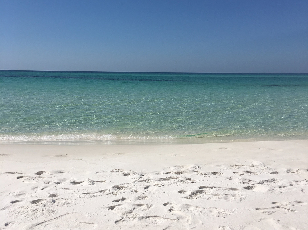 Ocean Drive Beach景点图片