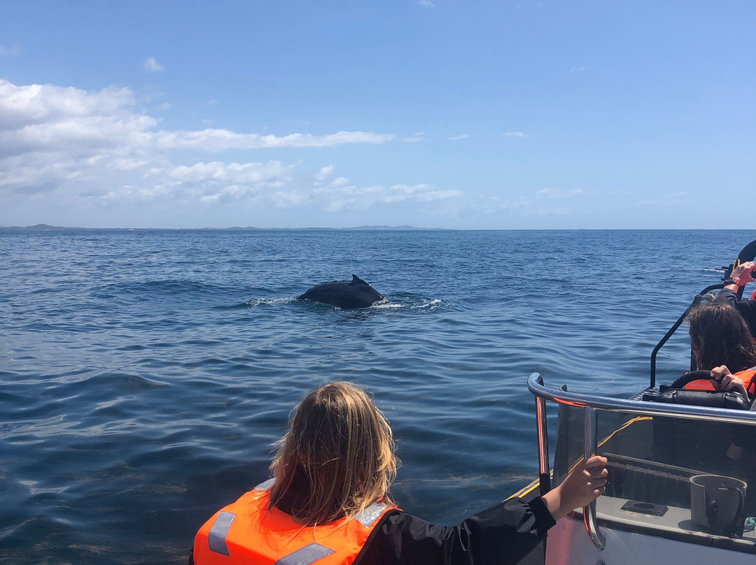Adventure Rafting-穆鲁拉巴必去景点